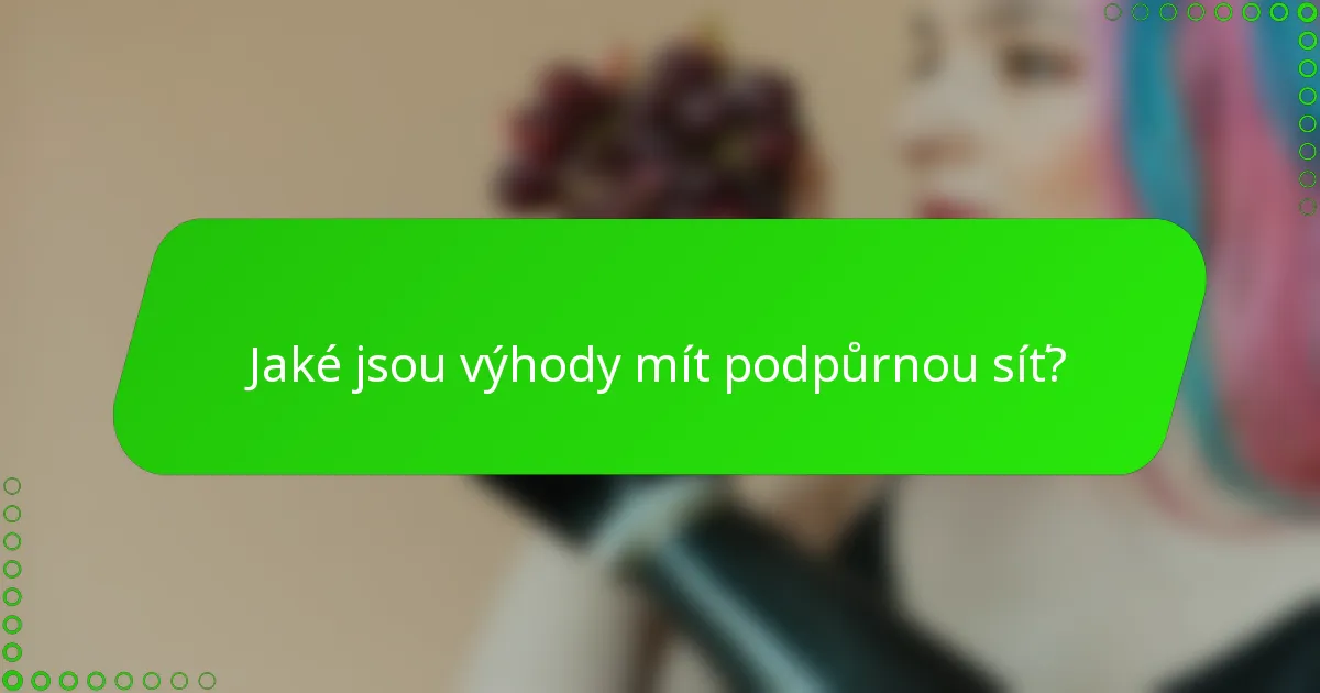 Jaké jsou výhody mít podpůrnou síť?